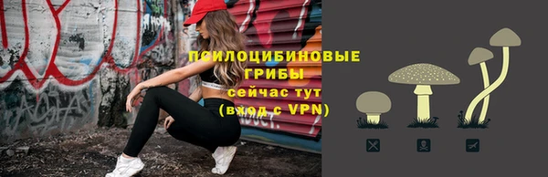 прущие грибы Белоозёрский