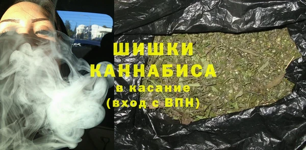 прущие грибы Белоозёрский