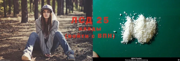 гидра Белокуриха