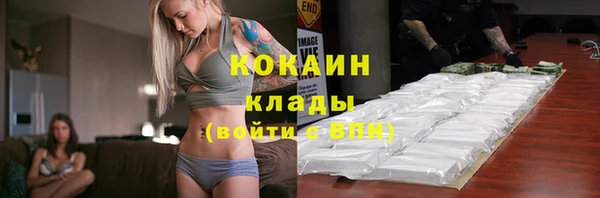 гидра Белокуриха