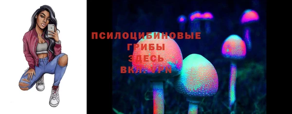 прущие грибы Белоозёрский