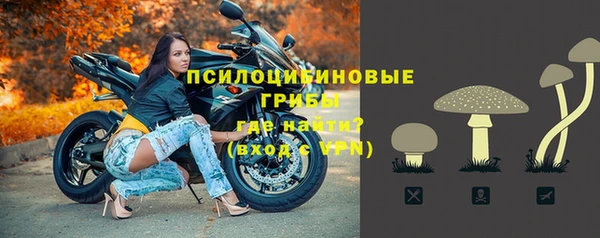 гидра Белокуриха