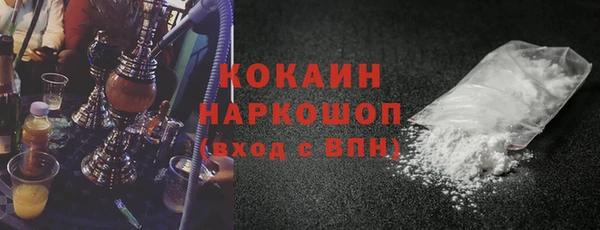 гидра Белокуриха