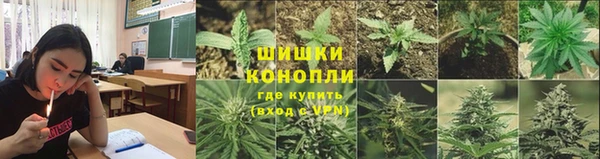 гидра Белокуриха